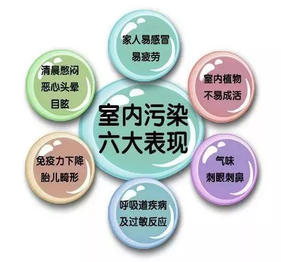 2024澳门天天开好彩大全